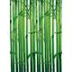 Ideal Decor 421 Bamboo 183 x 254 cm Set of 4