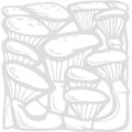 Indigos 4051095295679 Wanderaufkleber - e58 schöne Pilze Blätterwerk Blatt Blüte Blumen Pflanzen Ranke, Vinyl, Silber, 80 x 77 x 1 cm