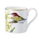 Villeroy & Boch Amazonia Mokka- / Espressotasse, Edles Geschirr aus Premium Bone Porzellan, 80 ml