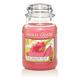 Yankee Candle Glaskerze, groß, Pink Dragon Fruit