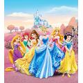 AG Design FTDxl 1913 Disney Princess Prinzessinen, Papier Fototapete Kinderzimmer- 180x202 cm - 2 teile, Papier, multicolor, 0,1 x 180 x 202 cm