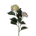 BELLAFIORA 01AMAZ0444123 Künstliche Blumen, Hortensie, 2 Blüten, 1 m, Blau/Grün