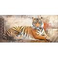 Pro-Art pl008r5 Wandbild Canvas-Art"Sumatra Tiger", 115 x 55 cm