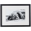 Amaris Elements | 'Lion' Foto-Kunst von Löwen in der Savanne in schwarz weiß Tier-Bild, Wand-Bild 40x30x5 cm