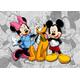 Fototapete FTDNm5204 Photomurals Disney Mickey Mouse