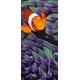 PeelitStickit id-020 60 Breite x 130 cm Höhe Underwater hochwertigem Vinyl Wand Wandbild