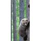 PeelitStickit id-242 60 Breite x 130 cm Höhe Zwei Bär Hohe Qualität Vinyl Animal Wall Mural