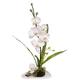 Flair Flower Phalaenopsis auf Schale, Stoff, weiß, 50 x 24 x 16 cm