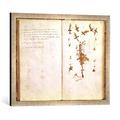 Gerahmtes Bild von Jean Jacques Rousseau Page 24 from a Herbarium, Kunstdruck im hochwertigen handgefertigten Bilder-Rahmen, 70x50 cm, Silber raya