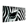 Apalis 108864 Magnettafel Zebra Crossing Memoboard Design Quer Metall Magnet Pinnwand Motiv Wand Stahl Küche Büro, 37 x 78 cm