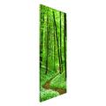 Apalis 108674 Magnettafel Romantischer Waldweg Memoboard Design Hoch Metall Magnet Pinnwand Motiv Wand Stahl Küche Büro, 78 x 37 cm