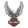 Artopweb Harley Davidson, Eagle (Paneele 59x80 cm)