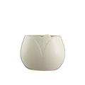 Belleek Living Swirl Pot