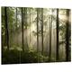 Pixxprint HBVs_2415_80x60 atemberaubender Wald mit Sonnenstrahlen MDF-Holzbild im Bretterlook Wanddekoration, bunt, 80 x 60 x 2 cm