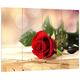 Pixxprint HBVs_2062_80x60 prächtige rote Rose auf Holztisch MDF-Holzbild im Bretterlook Wanddekoration, bunt, 80 x 60 x 2 cm