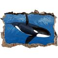 Pixxprint 3D_WD_S2610_62x42 wunderschöner Orca im blauen Meer Wanddurchbruch 3D Wandtattoo, Vinyl, bunt, 62 x 42 x 0,02 cm