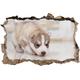 Pixxprint 3D_WD_1737_62x42 Süßer Hundewelpe Husky Wanddurchbruch 3D Wandtattoo, Vinyl, bunt, 62 x 42 x 0,02 cm