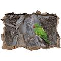 Pixxprint 3D_WD_S1188_62x42 grüner Papagei mit rotem Schnabel Wanddurchbruch 3D Wandtattoo, Vinyl, bunt, 62 x 42 x 0,02 cm
