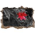 Pixxprint 3D_WD_5365_62x42 Herbstliches rotes Ahornblatt Wanddurchbruch 3D Wandtattoo, Vinyl, schwarz / weiß, 62 x 42 x 0,02 cm