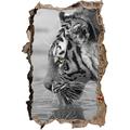 Pixxprint 3D_WD_S4919_92x62 Gestreifter Tiger am Wasser Wanddurchbruch 3D Wandtattoo, Vinyl, Schwarz/weiß, 92 x 62 x 0,02 cm