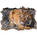 Pixxprint 3D_WD_S4879_62x42 gewaltiger hungriger Tiger Wanddurchbruch 3D Wandtattoo, Vinyl, schwarz / weiß, 62 x 42 x 0,02 cm