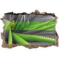 Pixxprint 3D_WD_5266_62x42 grüne Aloe Vera Pflanze Wanddurchbruch 3D Wandtattoo, Vinyl, schwarz / weiß, 62 x 42 x 0,02 cm