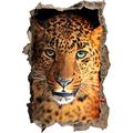 Pixxprint 3D_WD_S2576_62x42 neugieriger Leopard Wanddurchbruch 3D Wandtattoo, Vinyl, bunt, 62 x 42 x 0,02 cm