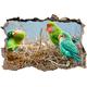 Pixxprint 3D_WD_S1934_92x62 bunte Papageien im Nest Wanddurchbruch 3D Wandtattoo, Vinyl, bunt, 92 x 62 x 0,02 cm