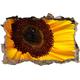 Pixxprint 3D_WD_S4978_62x42 zarte gelbe Sonnenblume Wanddurchbruch 3D Wandtattoo, Vinyl, schwarz / weiß, 62 x 42 x 0,02 cm