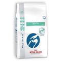 Royal Canin VET DIET Dental large dog 6 kg