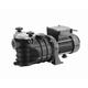 Hexoutils HP21463 Pompe de filtration pour piscine, 550 W, Variable
