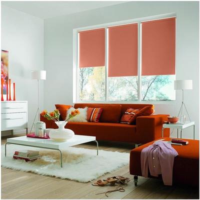 Büscher Sunlines Seitenzug-Rollo mit Lichtschutz - 1620x1800 mm braun, 162x180 cm