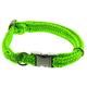 Dinoleine Hunde-Halsband mit Click-Verschluss, Größenverstellbar, Polyester, Größe: L/45-70 cm, Neongrün, 281104