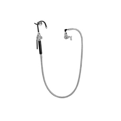 Fisher 27500 Wall Mounted Hose Pot Filler with 60" Hose and Swivel Elbow