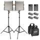 Neewer Bi-color LED 480 Video Light and Stand Kit with Battery and Charger for Studio, YouTube Video Shooting, Durable Metal Frame, Dimmable with U Bracket, 3200-5600K, CRI 96+ (2 Pack)