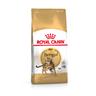 2kg Bengal Royal Canin Dry Cat Food