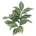 Vickerman 459263 - 27" Zebra Plant X 3 W/28 Lvs-Green/White (FB172501) Home Office Picks and Sprays