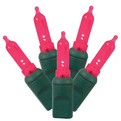 Vickerman 390306 - 100 Light 34' Green Wire Magenta Italian LED Christmas Light String Set with 4" Spacing (X4G7135)