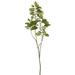 Vickerman 459515 - 4' Cotinus Coggygria Branch-Green (TB170301) Home Office Picks and Sprays