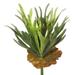 Vickerman 458167 - Staghorn Fern Bush Frosted-Green (FA170301) Home Office Picks and Sprays
