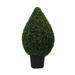 Vickerman 460078 - 36" Boxwood Teardrop Shaped In Pot (UV) (TP171536) Home Office Topiaries