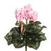 Vickerman 461495 - 11" Lt Pink Cyclamen Bush x 8 (FL170703) Home Office Flower Bushes