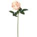 Vickerman 463901 - 25" Open Rose Stem-Lt Pink (PK/6) (FH170501) Home Office Flowers with Stems