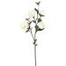 Vickerman 458563 - Magnolia x 4-Cream (Pk/3) (FA172601) Home Office Flowers with Stems