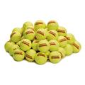 Tourna Pressureless Tennis Ball 60 Count (Pack of 1),Yellow