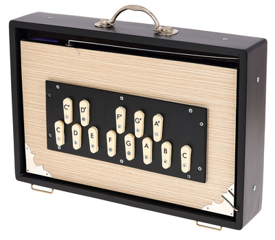 Thomann Nataraj Surpeti Shruti Box