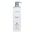 L'ANZA 14533B Healing Smooth Glossifying Shampoo