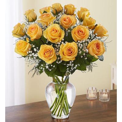 1-800-Flowers Flower Delivery Rose Elegance Premium Long Yellow18 Roses | Happiness Delivered To Their Door