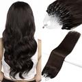 0.5g Micro Loop Hair 0.5g/s 100s Straight Human Hair Extensions Easy Loop Brazilian Remy Hair Micro Ring Hair Extensions (24", 2)