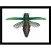 August Grove® Emerald Ash Borer Beetle by Damon Crook - Picture Frame Print on Paper in Green/White | 18 H x 24 W x 1 D in | Wayfair